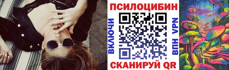 купить   Духовщина  Псилоцибиновые грибы мицелий 